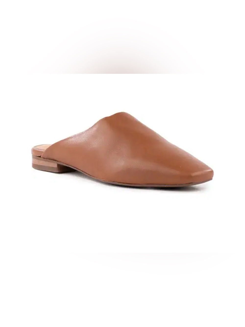 NWOB SEYCHELLES
Vice Leather Mule size 9
